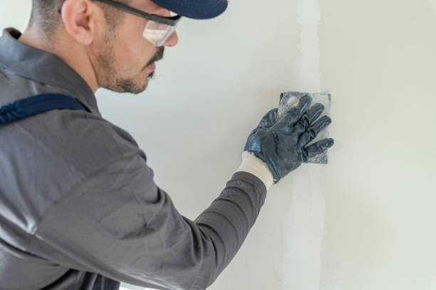 Best Basement Mold Removal  in Amesti, CA